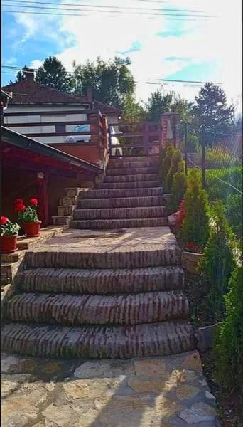 Apartmani Zapis Връдник Екстериор снимка